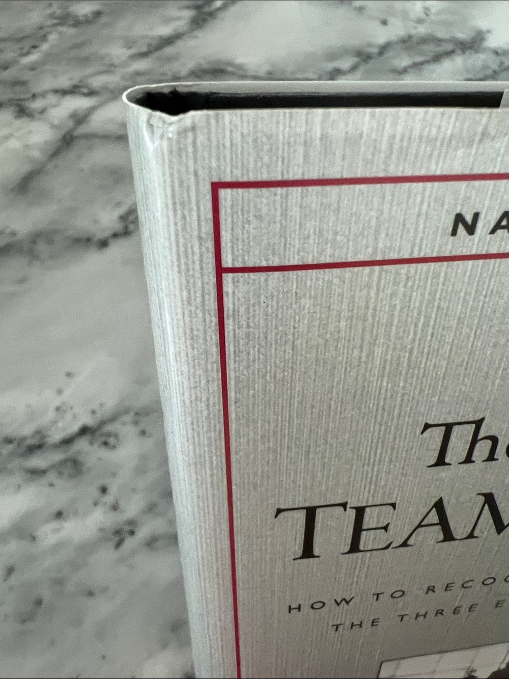 The Ideal Team Player - Silver Cover - Picture 6 of 6